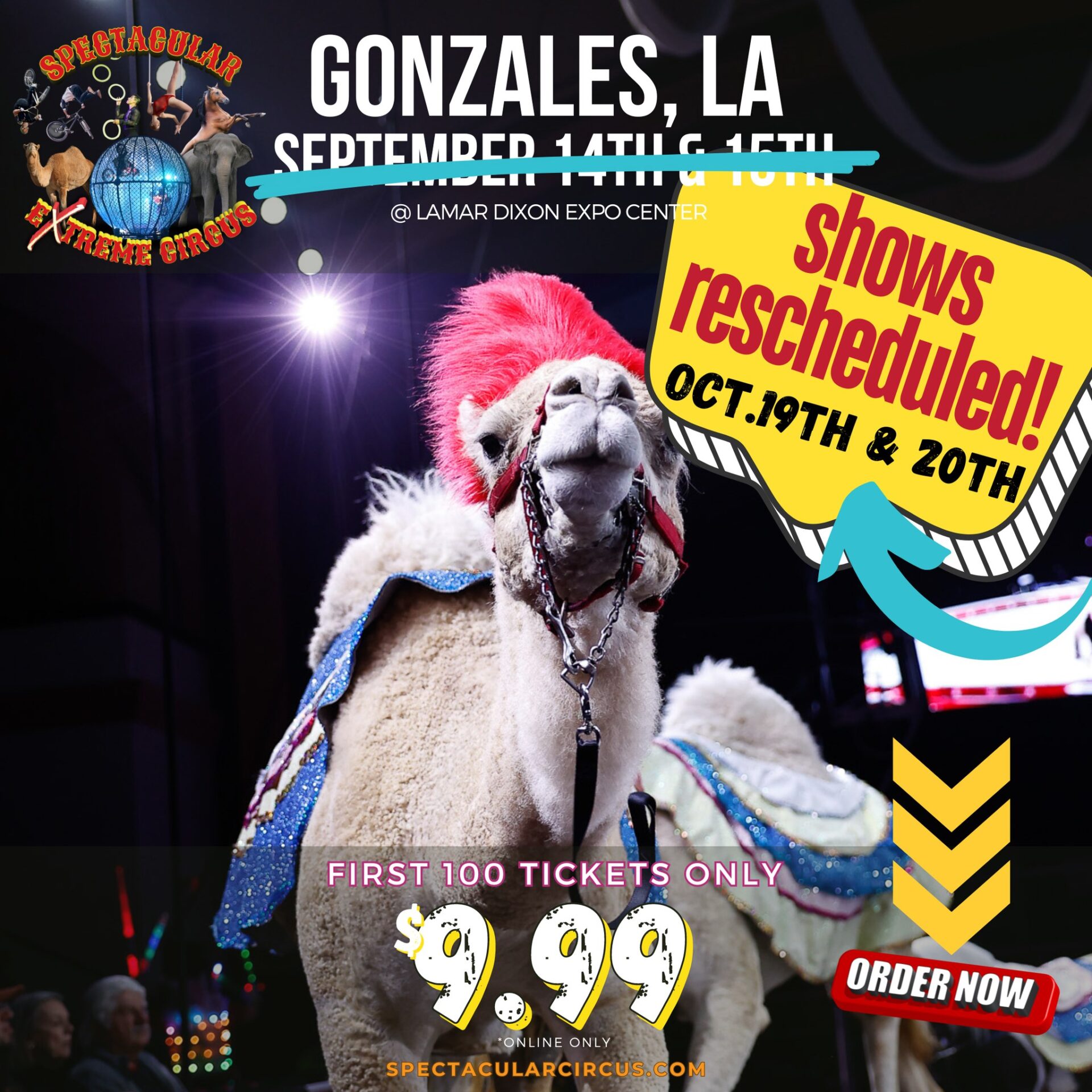 Events from October 12 December 13 Lamar Dixon Expo Center